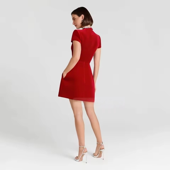 Red Dress with Embellished Collar - Picture 4 of 4